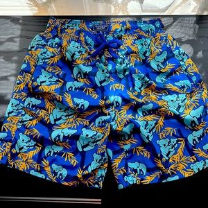 Vilebrequin Boys Size 10 Bathing Suit